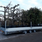 aanhangwagen met sterk chassis